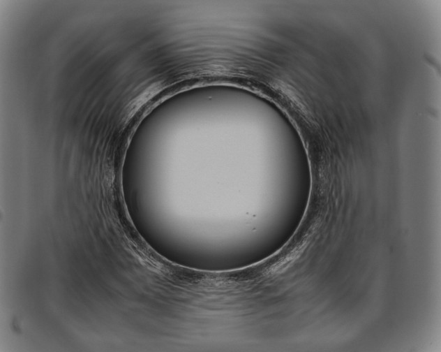 X0000096671065200802191324