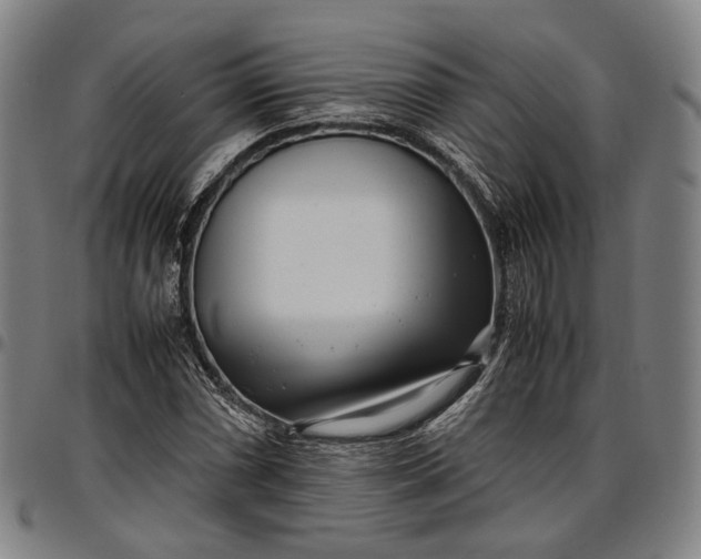 X0000096671066200802191324