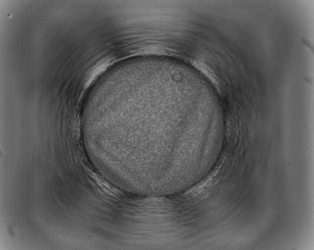 X0000096671067200802191324