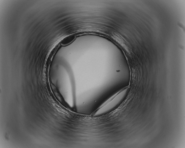 X0000096671068200802191324