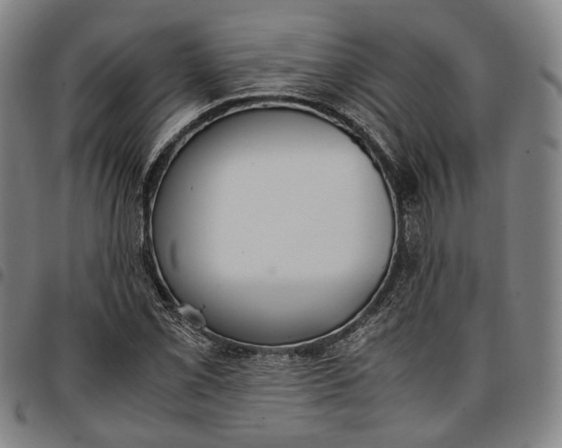 X0000096671069200802191324