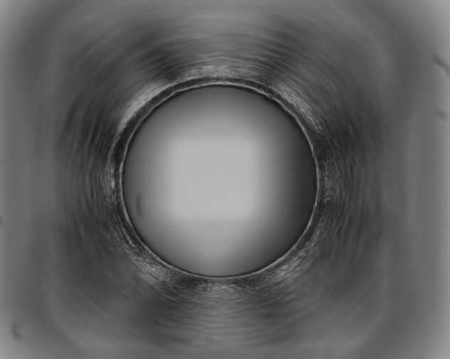 X0000096671070200802191324