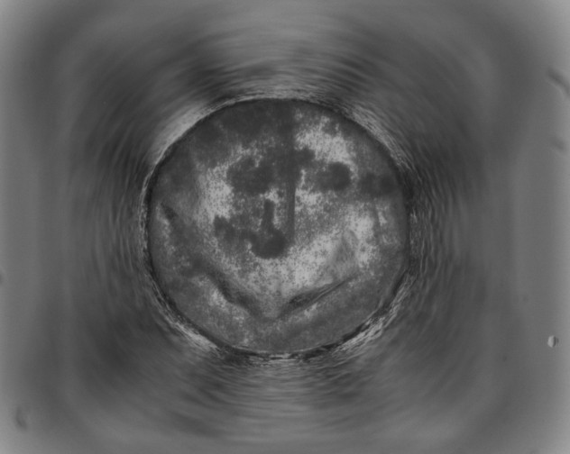 X0000096671071200802191324