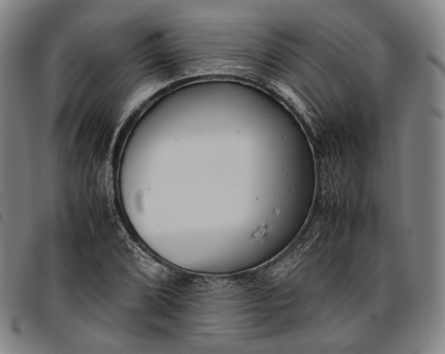 X0000096671072200802191324