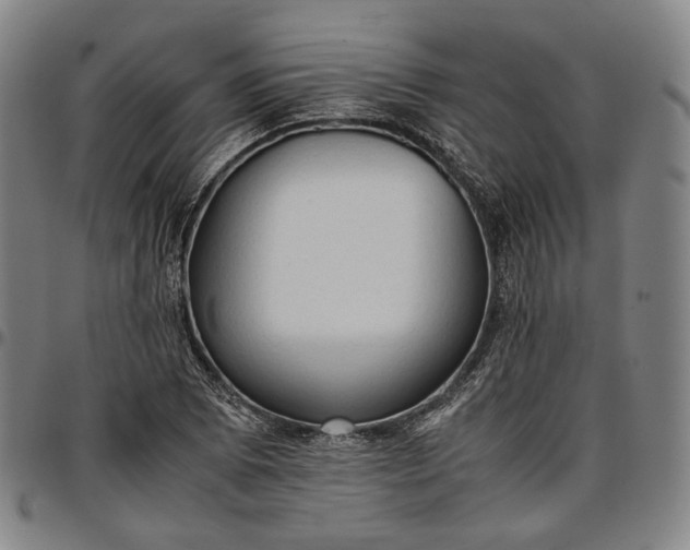X0000096671073200802191324