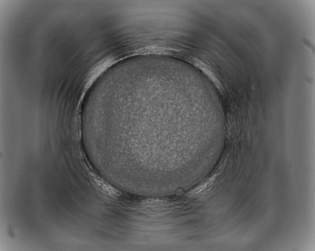 X0000096671075200802191324