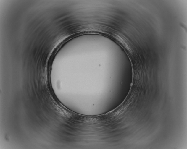 X0000096671076200802191324