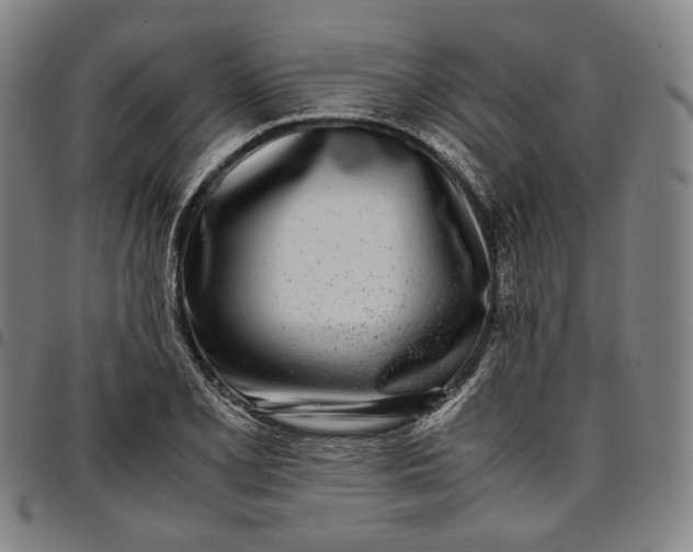X0000096671077200802191324