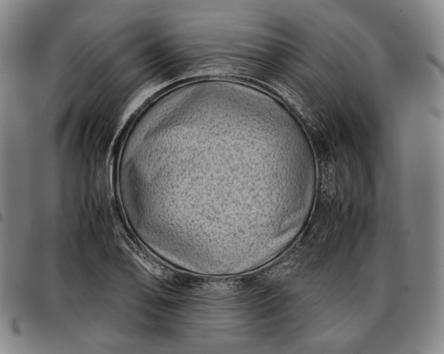 X0000096671078200802191324