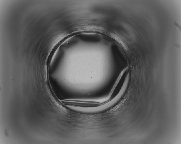 X0000096671079200802191324
