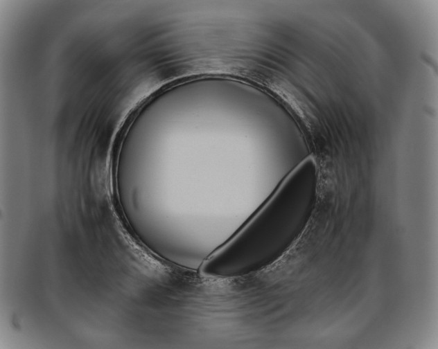 X0000096671080200802191324