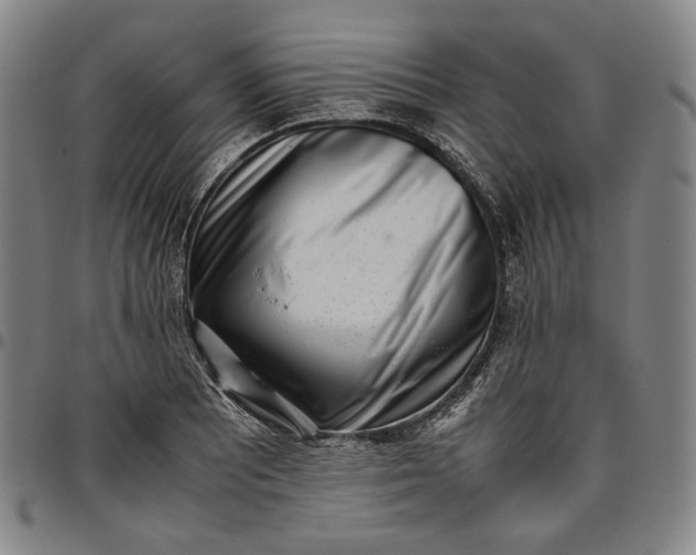 X0000096671081200802191324