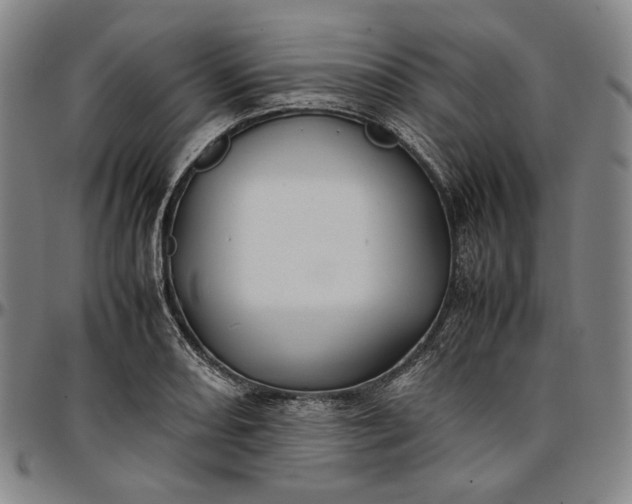 X0000096671082200802191324