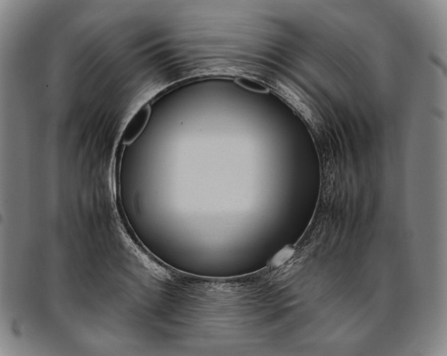 X0000096671084200802191324