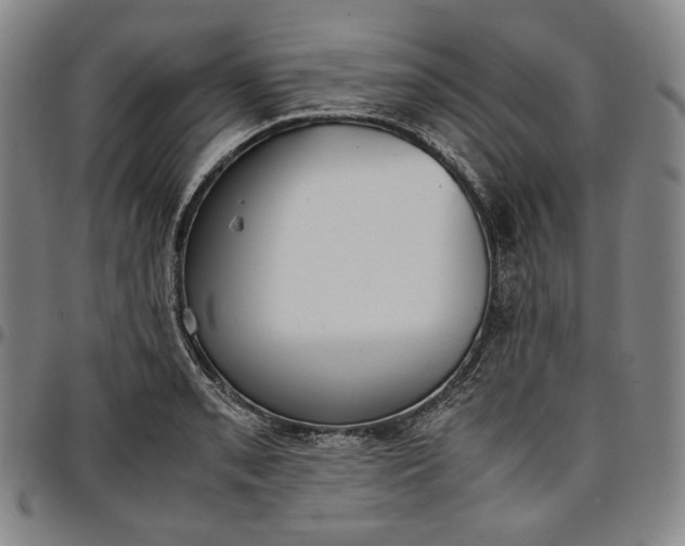 X0000096671085200802191324