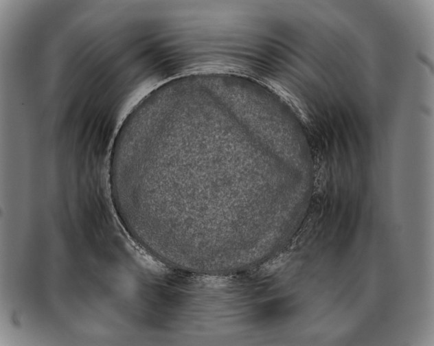 X0000096671086200802191324