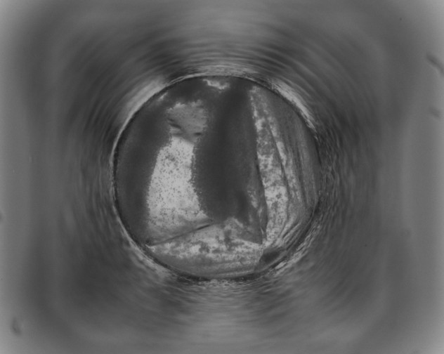 X0000096671087200802191324