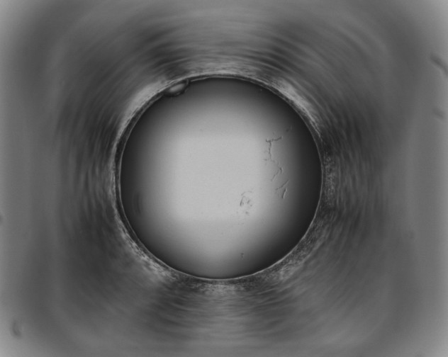 X0000096671088200802191324