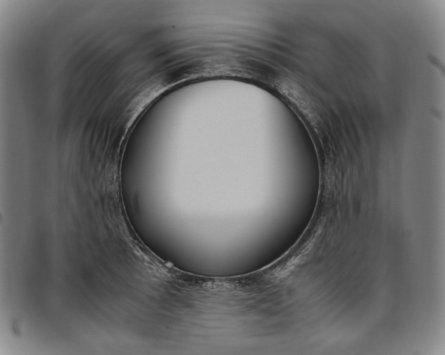 X0000096671089200802191324