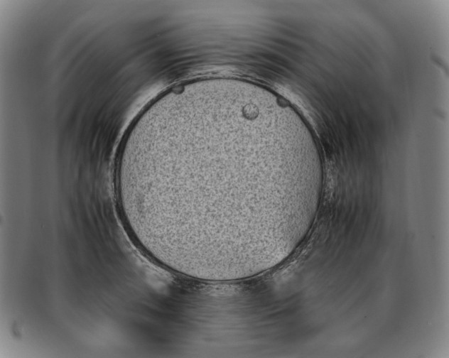 X0000096671090200802191324