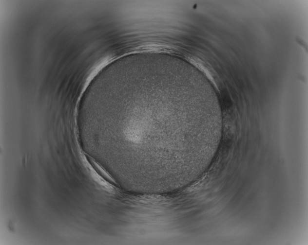 X0000096671091200802191324