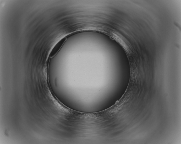 X0000096671092200802191324