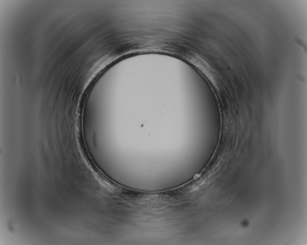 X0000096671093200802191324