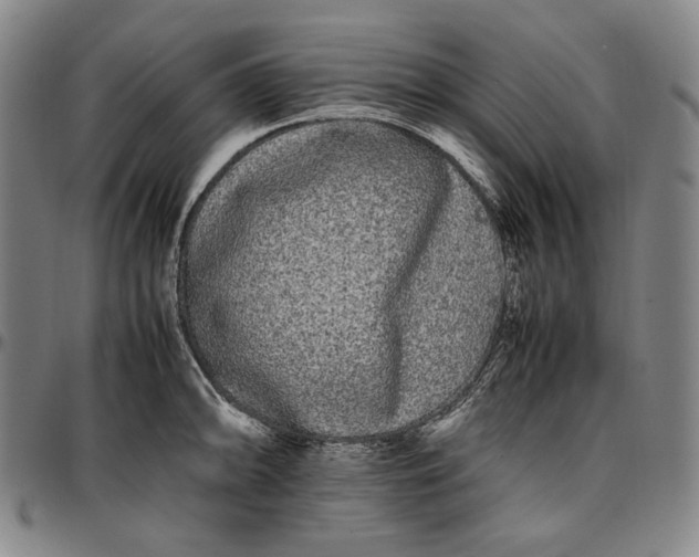 X0000096671094200802191324