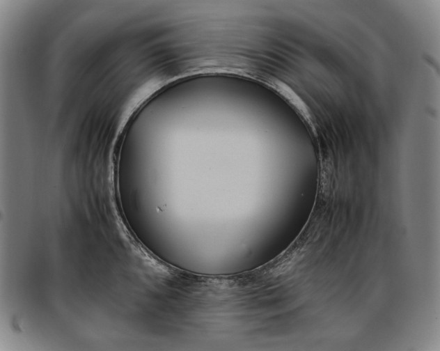 X0000096671096200802191324