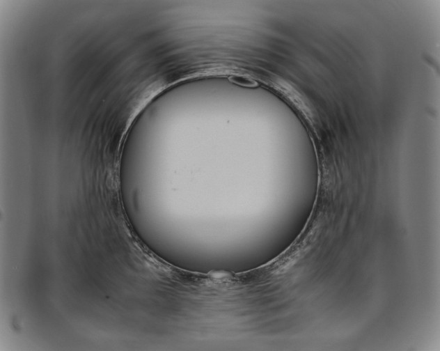 X0000096671097200802191324
