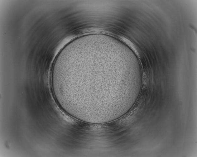 X0000096671098200802191324