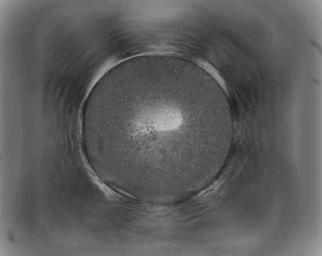 X0000096671099200802191324