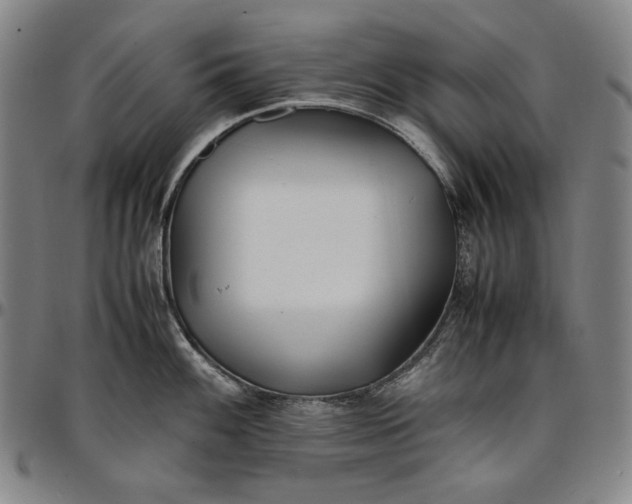 X0000096671100200802191324