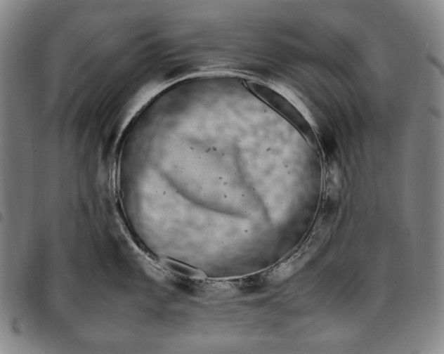 X0000096671101200802191324