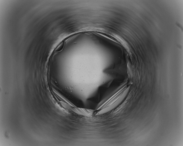 X0000096671102200802191324
