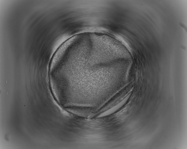 X0000096671103200802191324