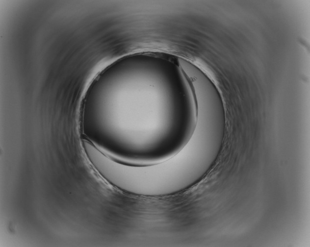 X0000096671104200802191324