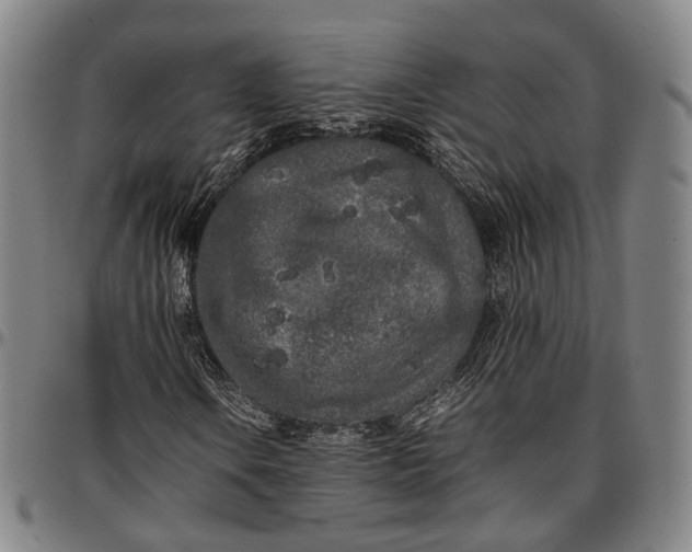X0000096671106200802191323