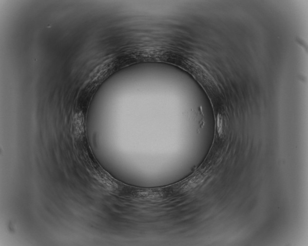 X0000096671107200802191323