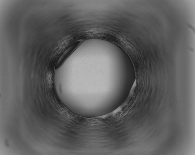 X0000096671108200802191323