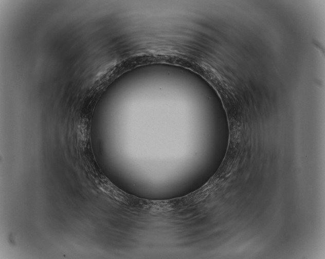 X0000096671110200802191323