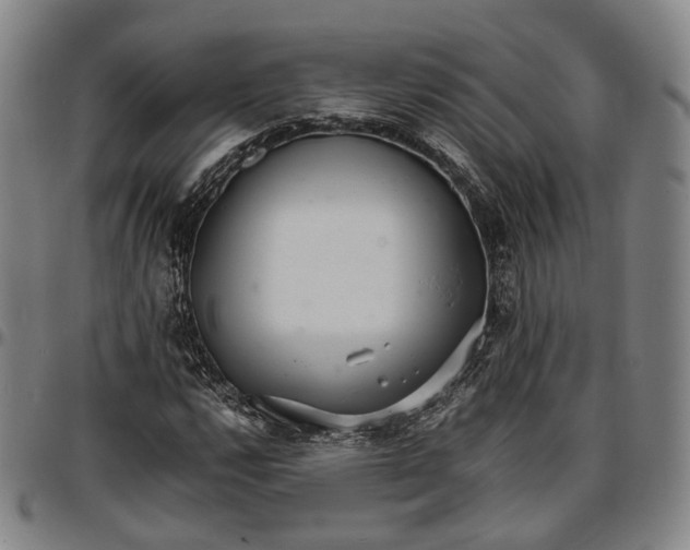 X0000096671112200802191323