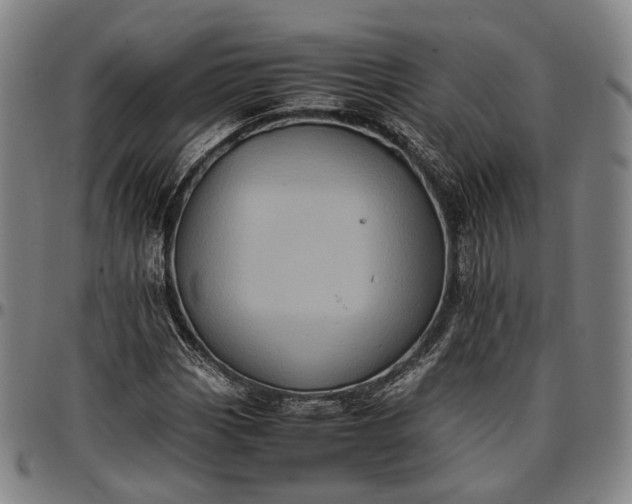 X0000096671113200802191323