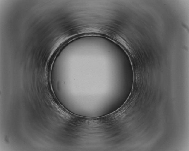 X0000096671116200802191323