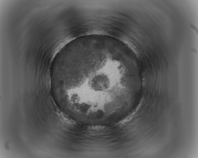 X0000096671117200802191323