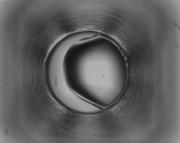 X0000096671118200802191323
