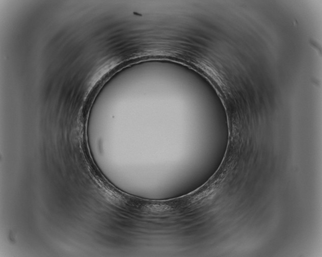 X0000096671119200802191323
