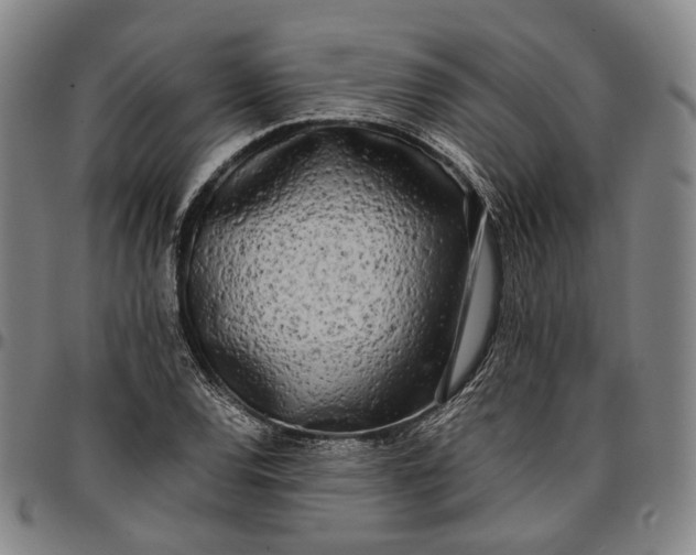 X0000096671120200802191323