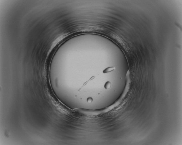 X0000096671122200802191323