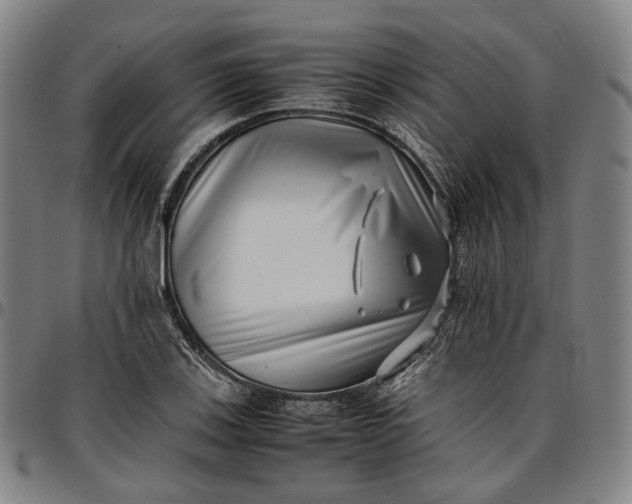 X0000096671123200802191323